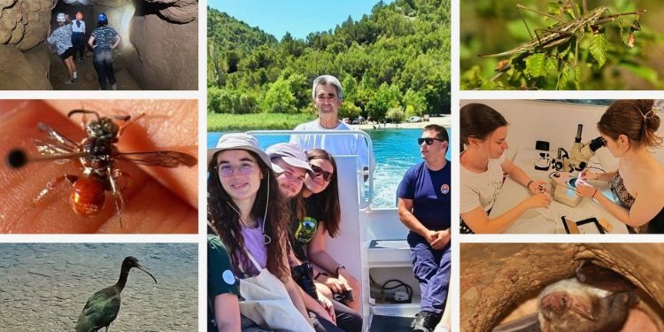 U proteklih sedam dana u NP “Krka” uočeno preko dvadeset i pet novih vrsta