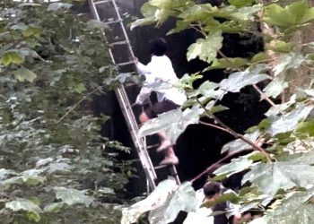 Ulaznice bez karata Oasis obožavatelji Storm Heaton Park kao metalne ograde srušeni su prisiljavajući policiju da intervenira ‘