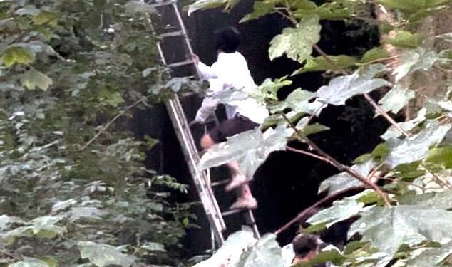 Ulaznice bez karata Oasis obožavatelji Storm Heaton Park kao metalne ograde srušeni su prisiljavajući policiju da intervenira ‘