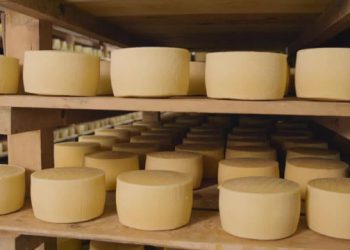 Umjesto ravno u Dalmaciju, Livanjski sir voze 300 kilometara naokolo jer ne mogu preko Kamenskog