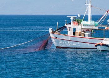 Usvojeno izvješće Zovko kojim se smanjuje administrativno opterećenje i osiguravaju ravnopravni uvjeti ribolova u Sredozemlju