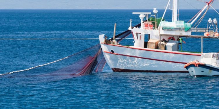 Usvojeno izvješće Zovko kojim se smanjuje administrativno opterećenje i osiguravaju ravnopravni uvjeti ribolova u Sredozemlju