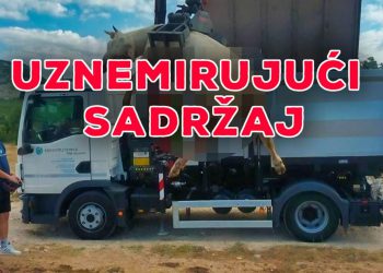 Užasni prizori na Svilaji, stočari su u očaju zbog novog pomora stoke, otkrili su na što sumnjaju: “Danas je uginulo pet beštija, dva bika i tri krave”