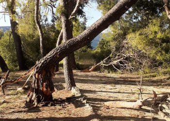 VIDEO Turska kula u Splitu izgleda grozno