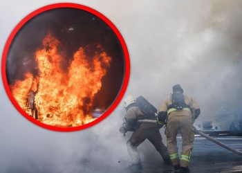 Vatrogasci intervenirali na više lokacija: Požari, uklanjanja stabala i tehničke intervencije