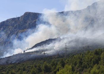 Vatrogasci intervenirali u Splitu i županiji: Požari, tehničke intervencije i uklanjanje stabala