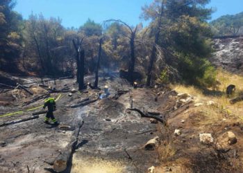 Vatrogasci ostaju dežurati: Stanje na požarištu na Mljetu je jako dobro
