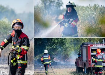 Vatrogasci se po nesnosnim vrućinama herojski bore s požarom u Đevrskama. Pogledajte fotografije s požarišta