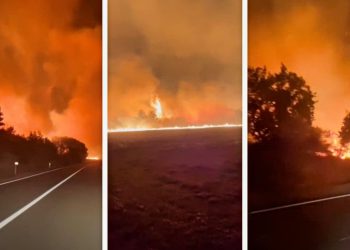 Veliki požar u Dalmaciji, prijeti i prometu: “Objekt se našao na udaru vatre”