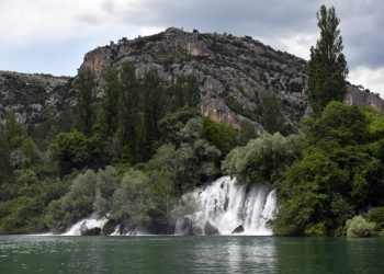 Veliko otkiće hrvatskih znanstevnica: otkrile gene koji bi mogli biti ključni u borbi protiv zagađenja teškim metalima