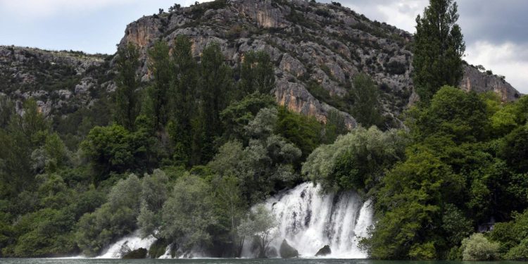 Veliko otkiće hrvatskih znanstevnica: otkrile gene koji bi mogli biti ključni u borbi protiv zagađenja teškim metalima