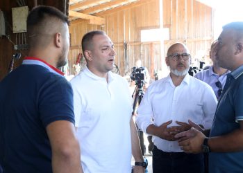 Zaraza bedrenicom: Za uginulu stoku država daje do 1.700 eura