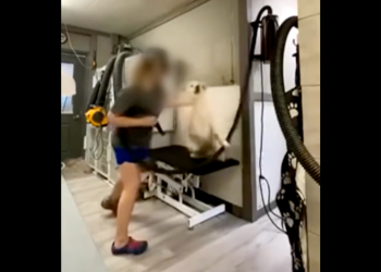 Žena iz Sjeverne Karoline uhićena nakon što videozapisi otkrivaju da je doživljavao pseće probijanje više pasa