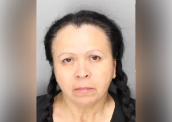 Žena optužena za udaranje i ubojstvo trogodišnjaka svojim automobilom dok je napuštala vatromet show nije imala dozvolu, kažu policajci