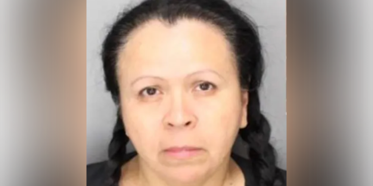 Žena optužena za udaranje i ubojstvo trogodišnjaka svojim automobilom dok je napuštala vatromet show nije imala dozvolu, kažu policajci