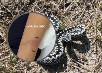 Ženu kod Širokog Brijega ugrizao poskok, upućena na liječenje u Mostar