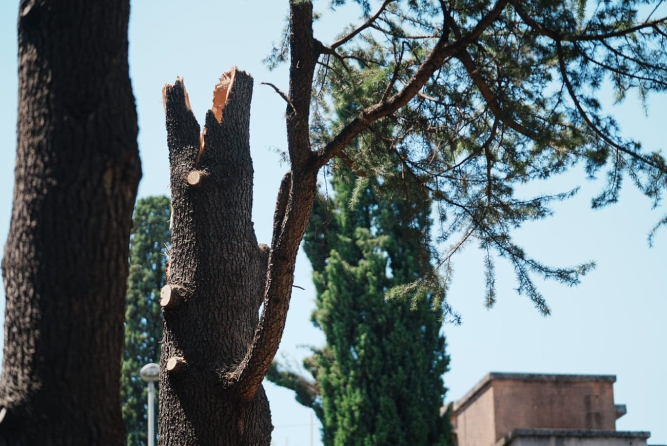 dorcic caljkusic mikas nn naslovnica grad split steta vatrogasci dogrado  3