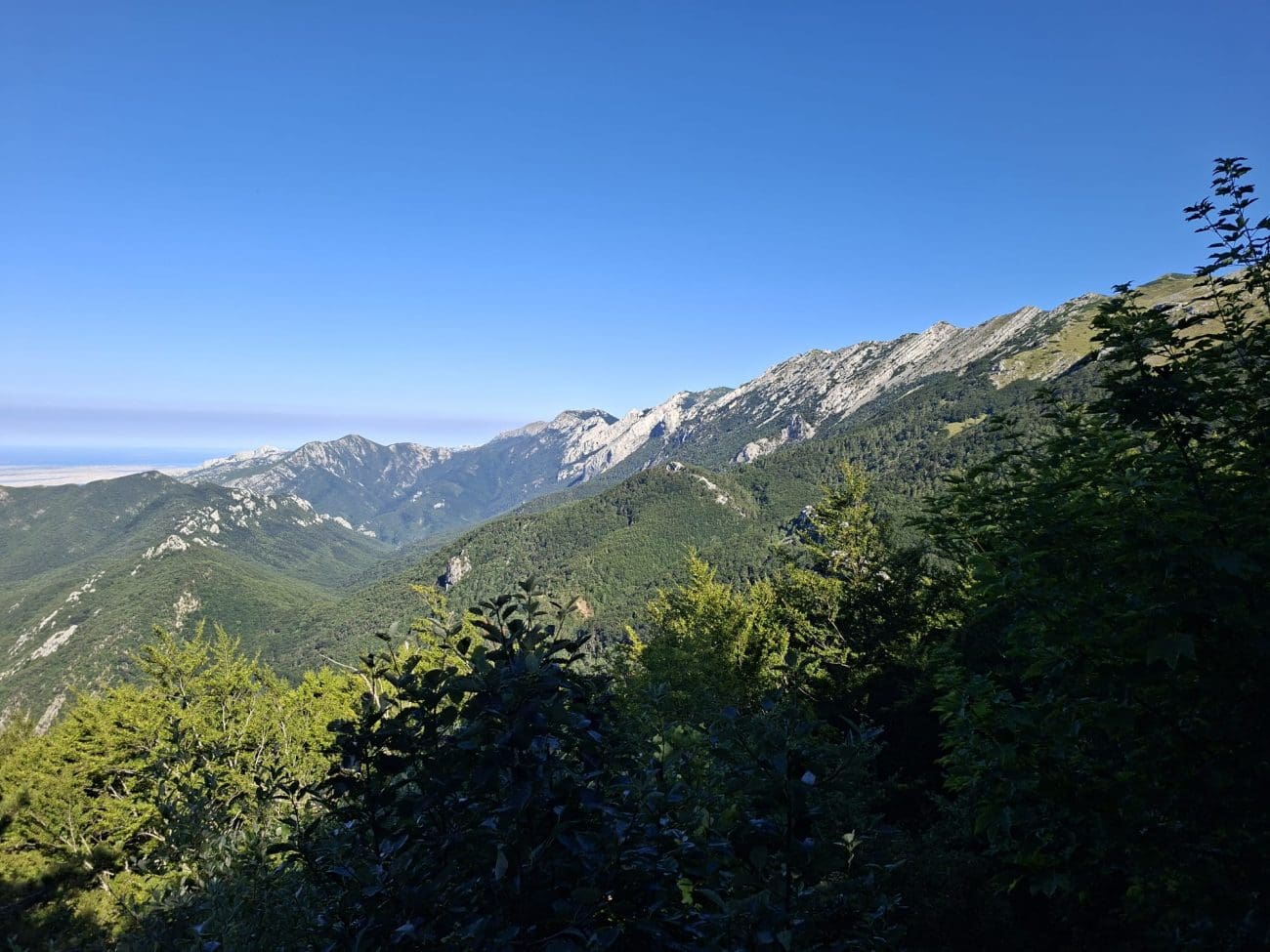 flauna paklenica velekbit  7