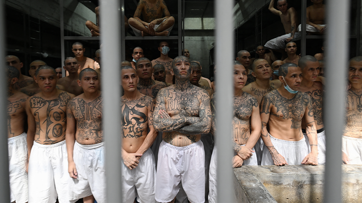 Članovi bande MS-13 u zatvoru