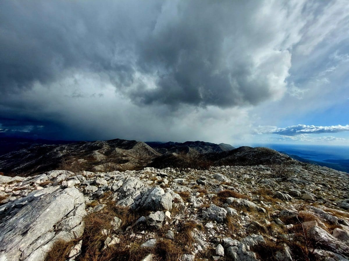 privatni album ivan dzepina drugi dio 169