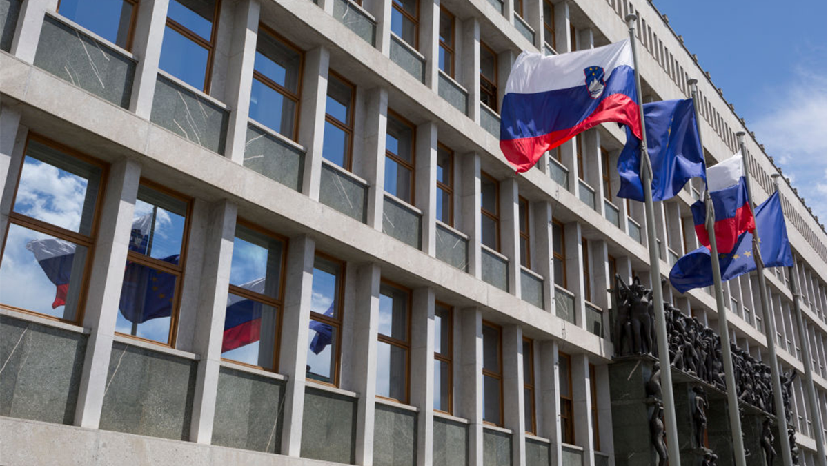 Slovenska narodna i nacionalna skupština