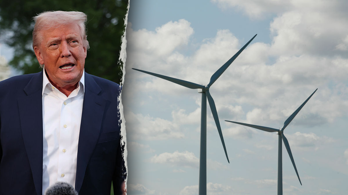Trump, lijevo; vjetrenjače, desno