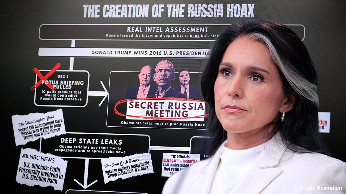 Dni tulsi gabbard izbliza 