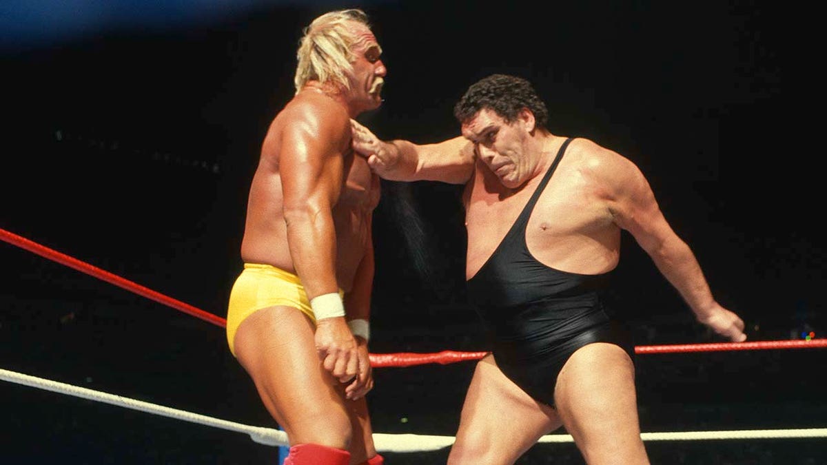 Hogan i Andre