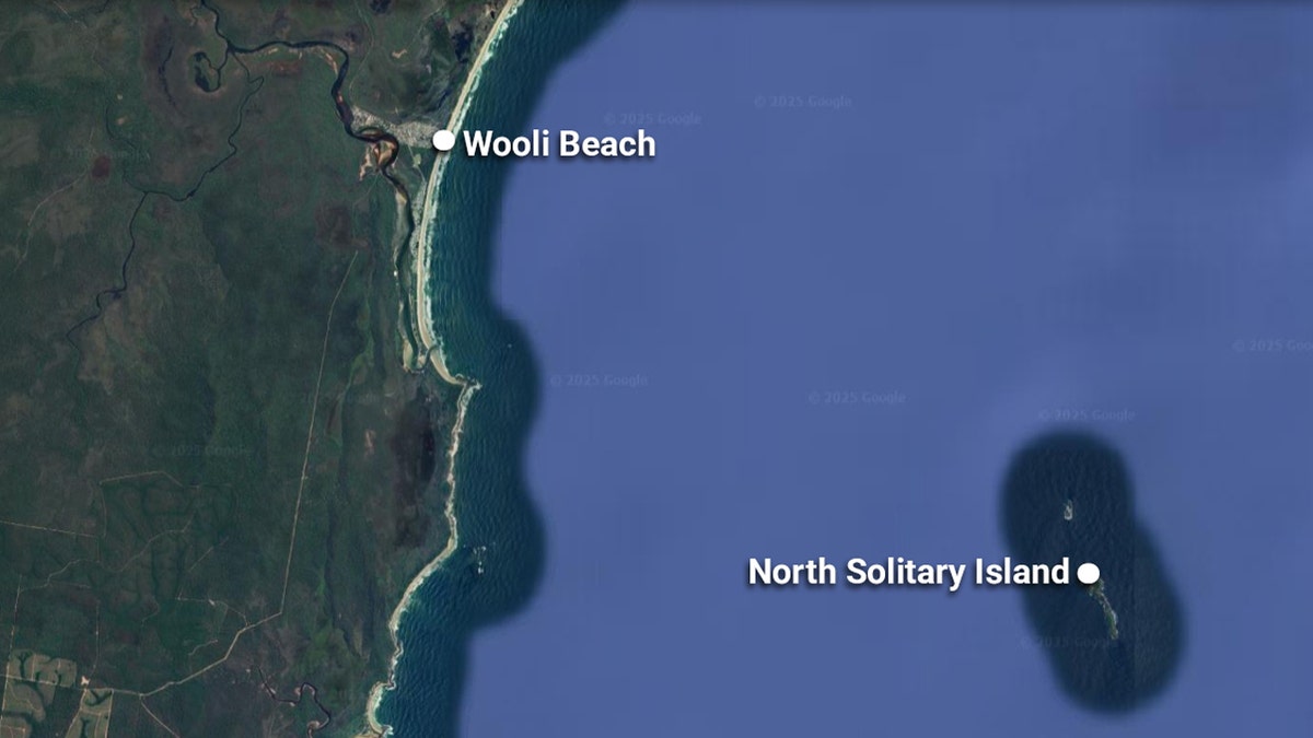 Surfer naleti s plaže Wooli u Novom Južnom Walesu do otoka gotovo 8 milja na obali