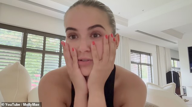 Sada izvješća tvrde da je ispad imao 'promucalo perje' sa svojim irskim putnikom