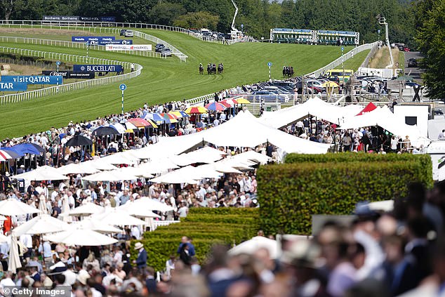 Goodwood je jedan od najizrazitijih impresivnih trkačkih staza na zemlji, ali utrke su pale ravno