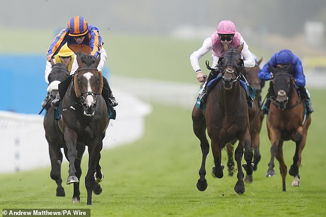 Scandinavia (lijevo) osvojila je Goodwood Cup koji je nažalost omamljen smrću Trueshana