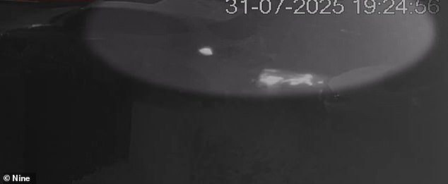 Na slici: Sparks lete dok se Hooper's vozilo (desno) sudara s parkiranim automobilima u CCTV snimkama navodnog incidenta