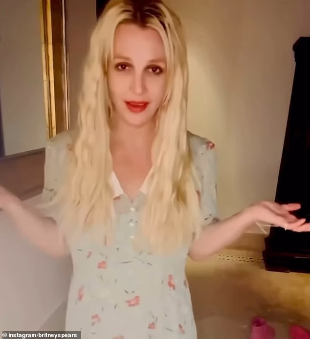Neki obožavatelji Gimme More Artist -a rekli su da je Federline želio unovčiti, a Britney su obveze za uzdržavanje djeteta ispunile svoja dva sina