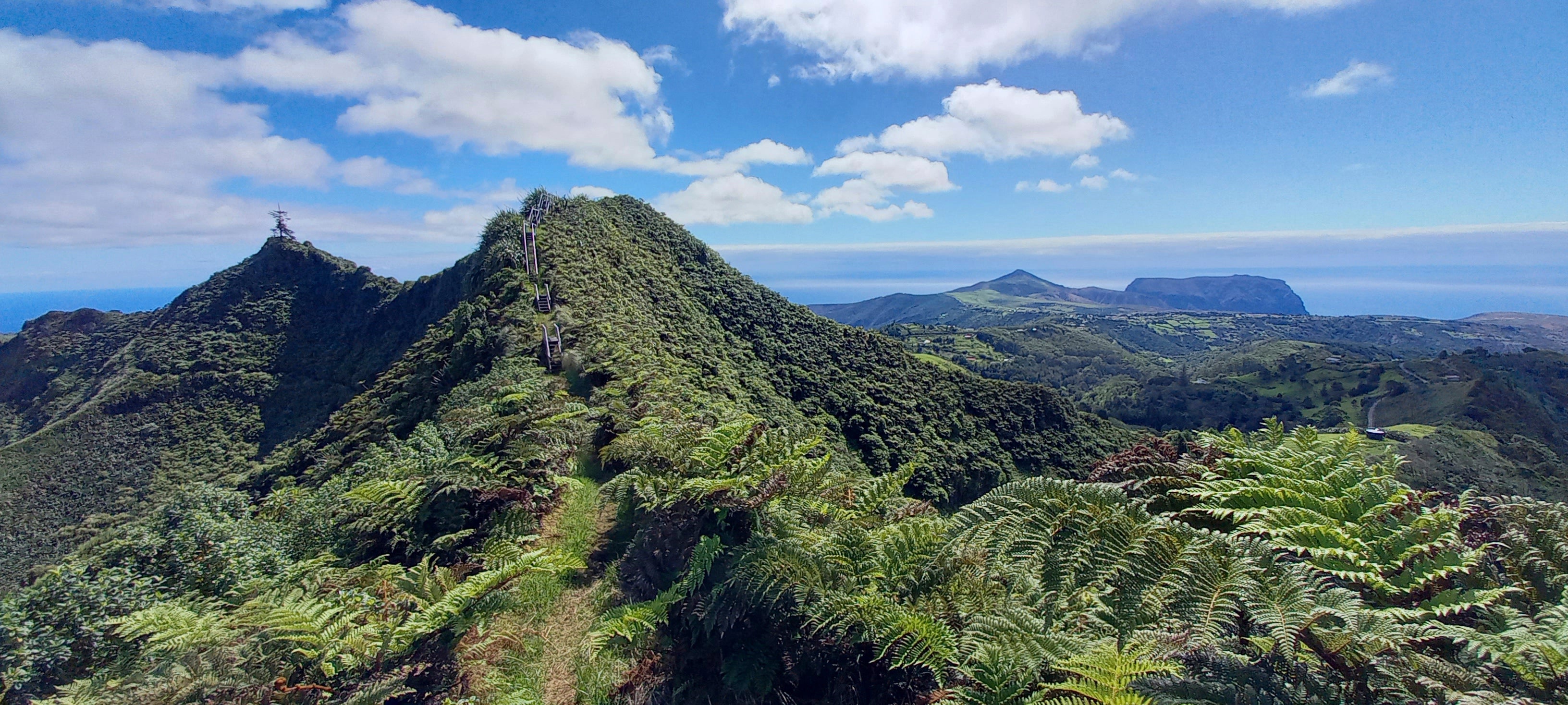 Otok St Helena u Južnom Atlantiku, gdje se RSPB također oslanja na pomoć u Velikoj Britaniji kako bi podržao očuvanje