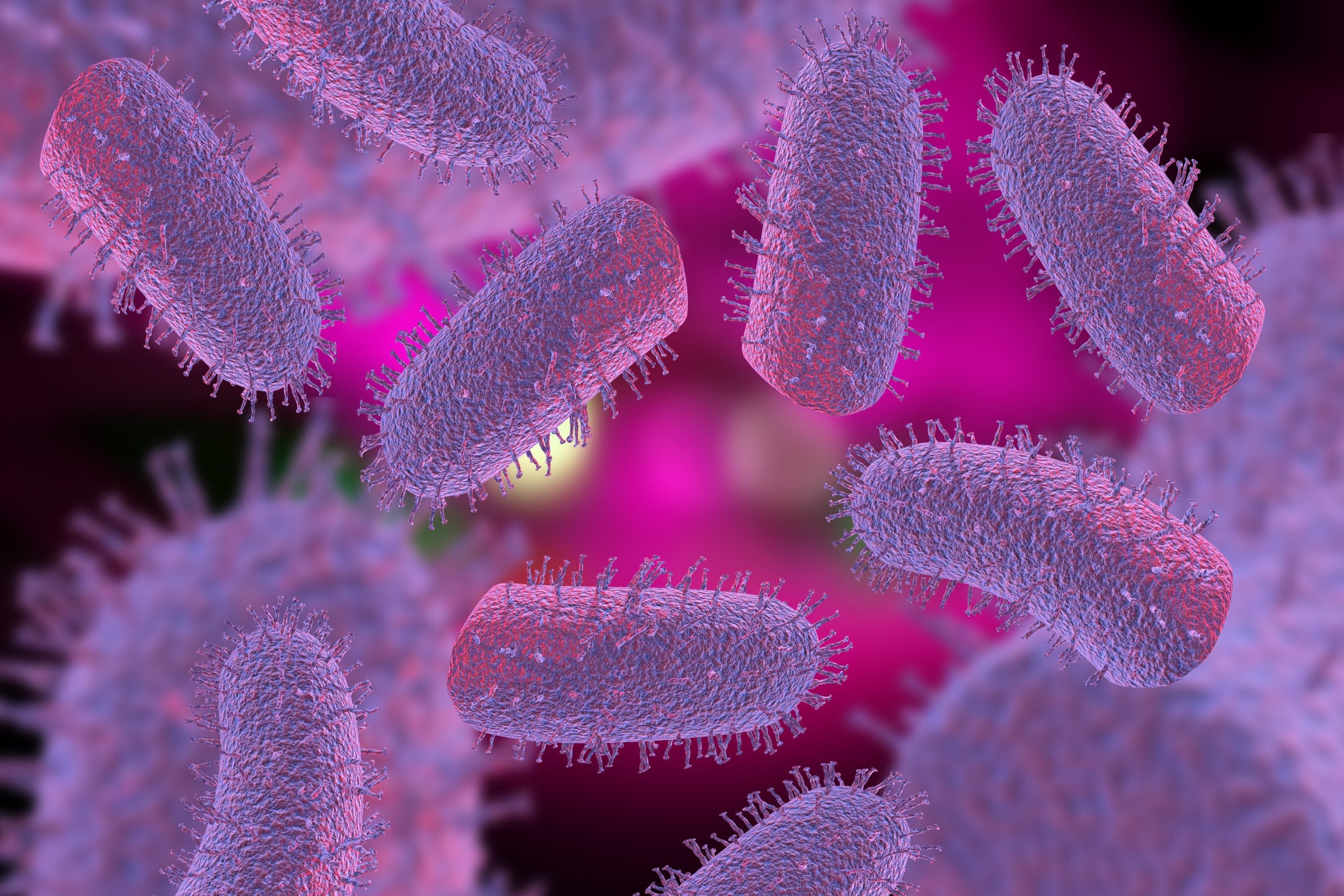 Bjesnoća je fatalni, akutni, progresivni encefalomijelitis uzrokovan neurotropnim virusima u obitelji Rhabdoviridae, rod Lyssavirus