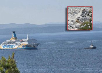 Glasnogovornik splitskog škvera: "Moby Drea odlazi, a nadomak NP Krka su tone azbesta!"