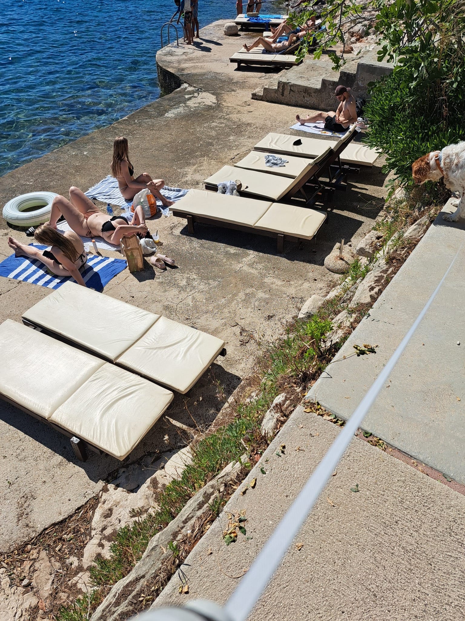 FOTO Pogledajte što su učinili od obale Hvara: "Dok se ne izvadi zadnja vida zabodena u stine"