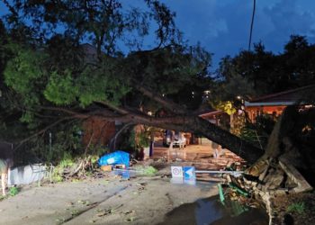 PELJEŠAC Nevrijeme pogodilo i Lovište: "Zbog srušenih stabala intervenirali vatrogasci!"