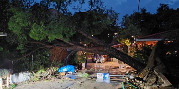 PELJEŠAC Nevrijeme pogodilo i Lovište: "Zbog srušenih stabala intervenirali vatrogasci!"
