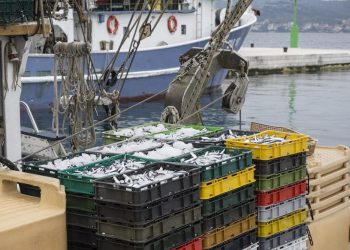 BAREM PO NEČEM Hrvatska je rekorderka EU-a po poskupljenju ribe i morskih plodova