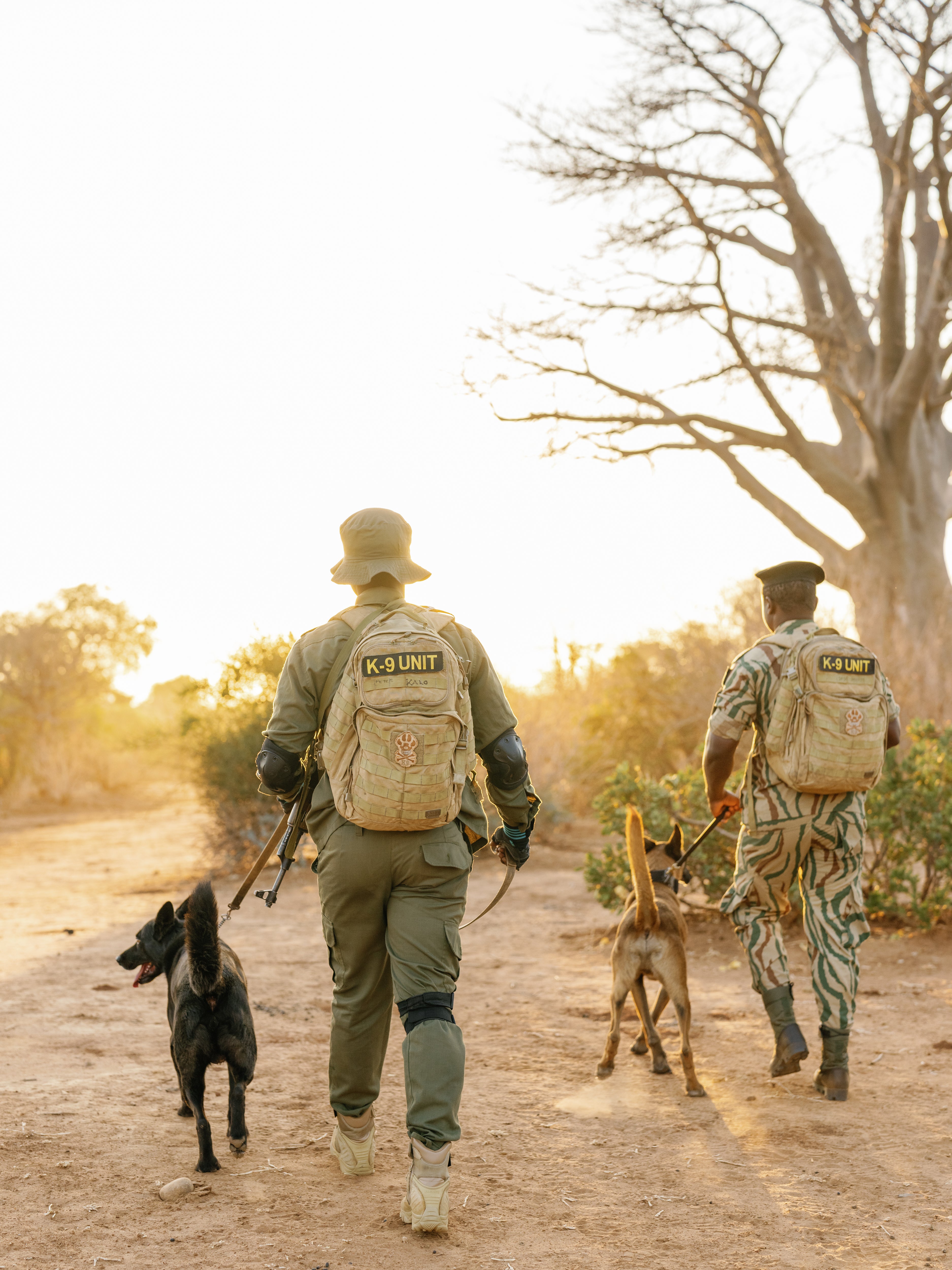 Conservation Lower Zambezi has reduced the number of canine unit patrols that it carries out since the start of the year as a result of cuts to US foreign assistance