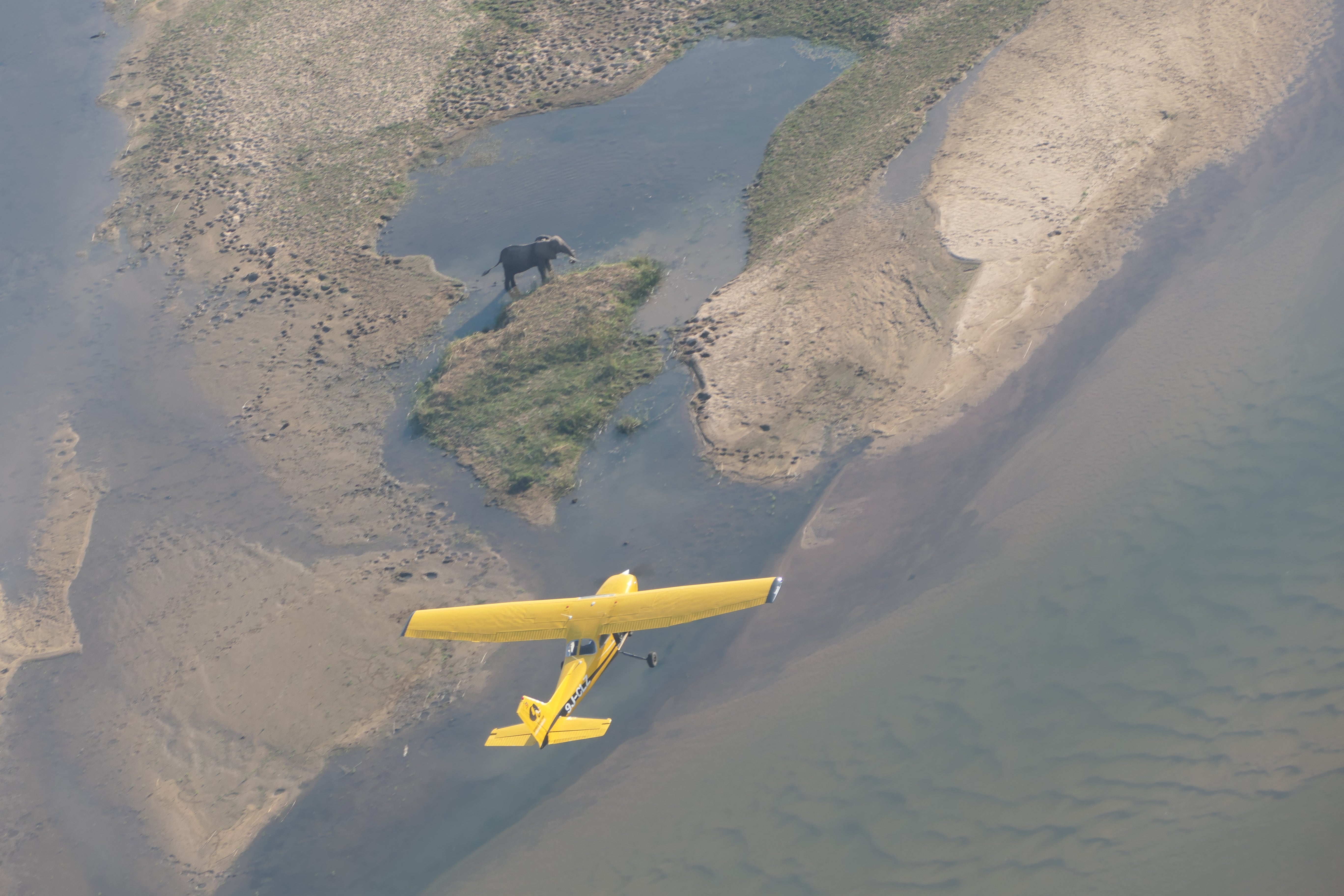 A CLZ aerial patrol spies an elephant on the Zambezi river. The charity has also reduced the number of aerial unit patrols that it carries out due to USFWS cuts