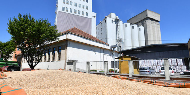 Čakovečki mlinovi isplaćuju dividendu – Poslovni dnevnik