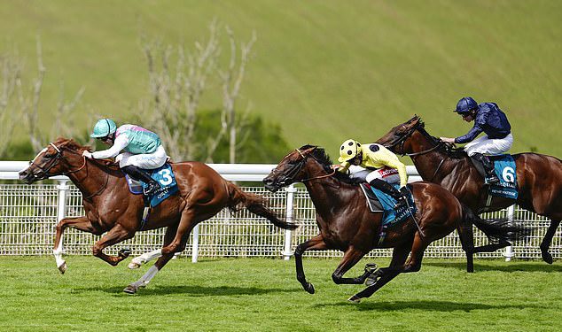 Calum McClurkin: Polje zlatnog preokreta dokazuje da u ovoj nestabilnoj igri nema garancija jer se “slavni” Goodwood pretvara u svemoćni mljevenje