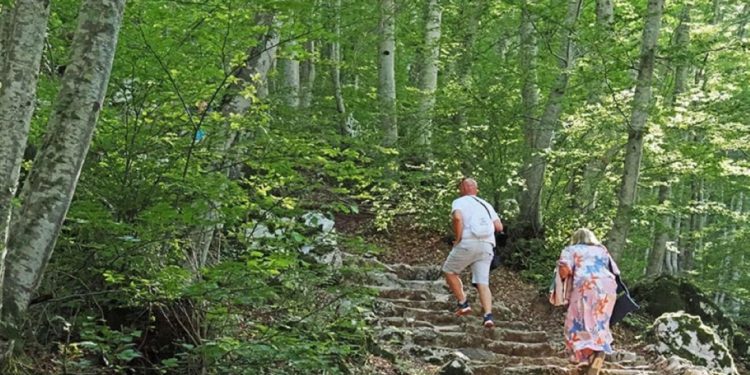 Ljeto u Zadarskoj županiji: sunce,more i nezaboravni izleti u zaleđe