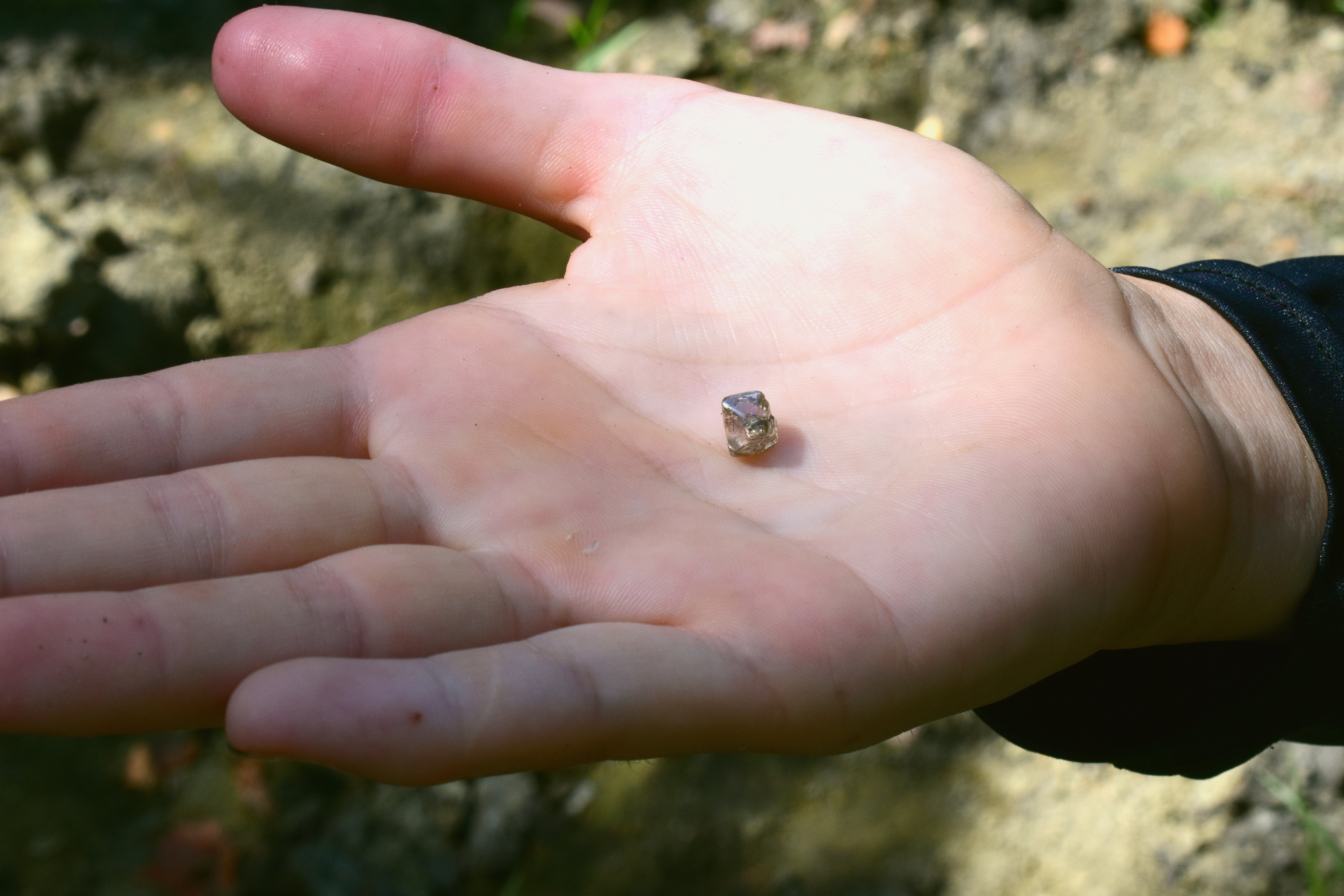 Fox je proveo tri tjedna u Crater of Diamonds State Park prije nego što je pronašao dijamant od 2,3 karata