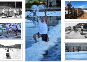 Dalmacija svoje zlato ima, bijele je boje: Počela berba soli u najstarijoj solani u Europi