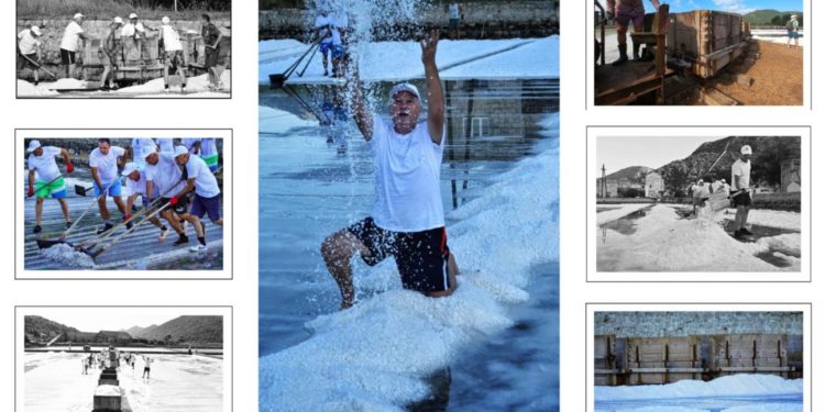 Dalmacija svoje zlato ima, bijele je boje: Počela berba soli u najstarijoj solani u Europi