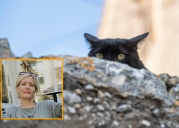 Dubrovačka veterinarka: ‘Ovaj slučaj nije od jučer. Čovjek godinama gomila otpad i uporno skuplja mačke…’